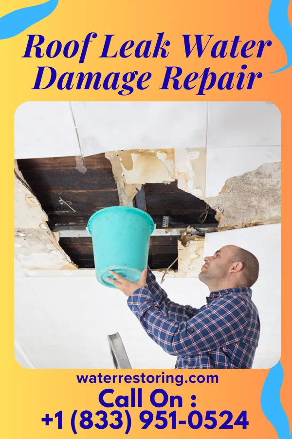 Roof Leak Water Damage Repair in West Richland, WA